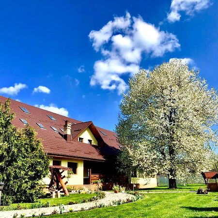 Bed and Breakfast Casa Galbena Arbore Экстерьер фото
