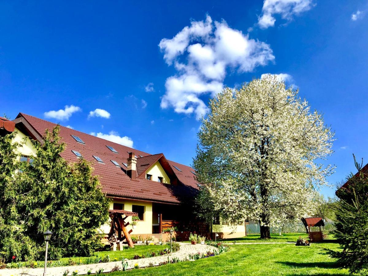 Bed and Breakfast Casa Galbena Arbore Экстерьер фото